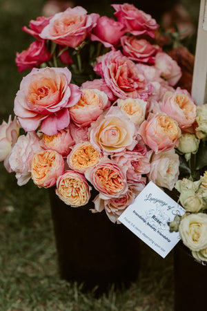 The Spring Posy Atelier is at Annie's Annuals!