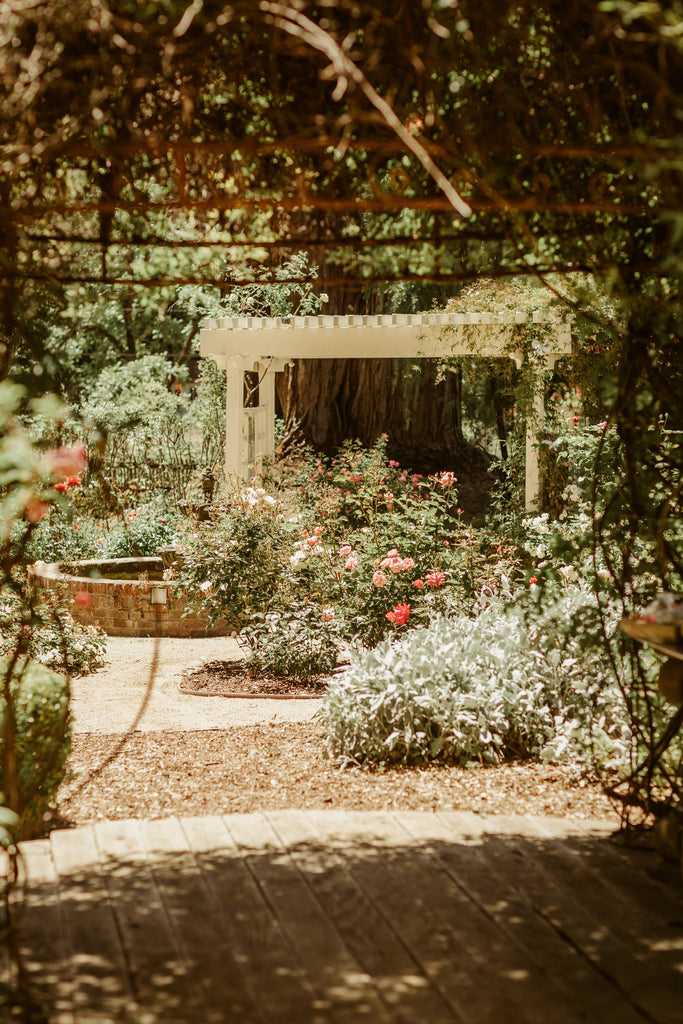 Autumn Posy Atelier & Garden Party