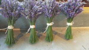 Symbolic Herbal Posies