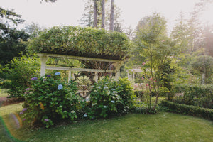 Castle House & Garden