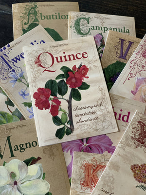 Language of Flowers Box Notecards